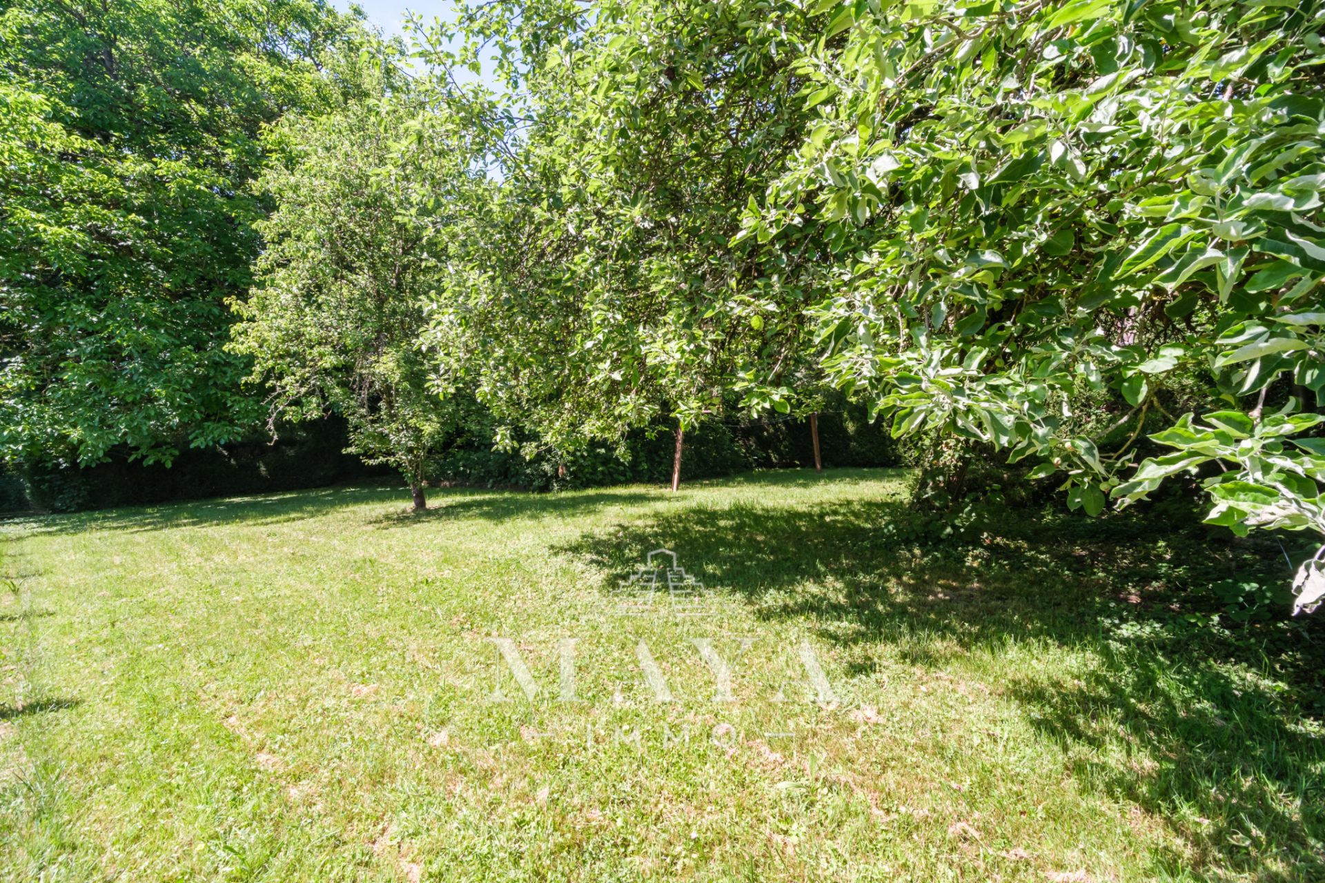 DANNEMARIE, Maison plain-pied de 81m2 sur 12,44 ares.