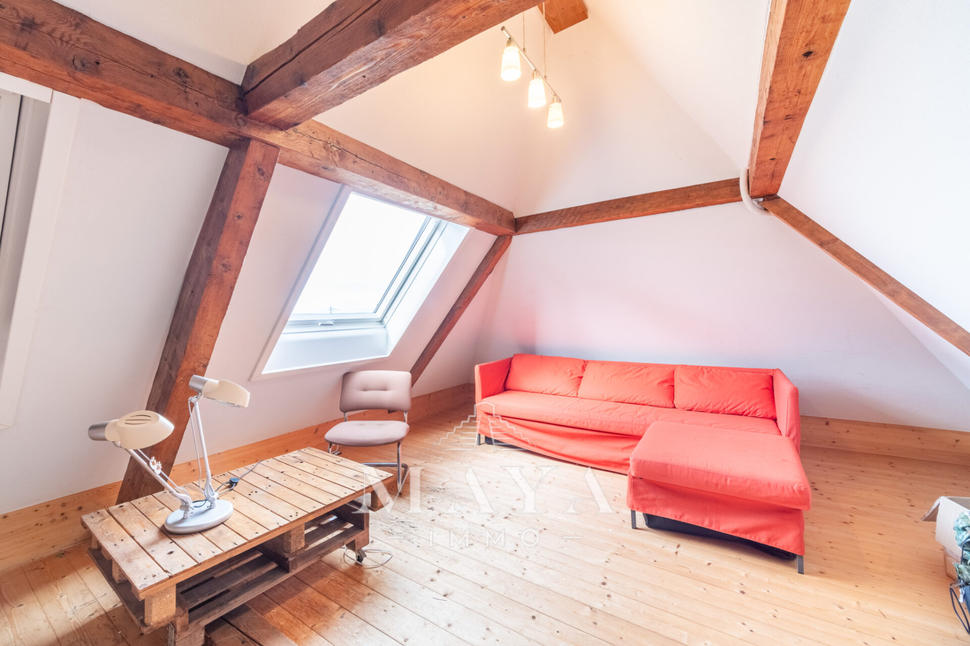 MUESPACH LE HAUT, MAISON DE CHARME AVEC LOGEMENT ANNEXE