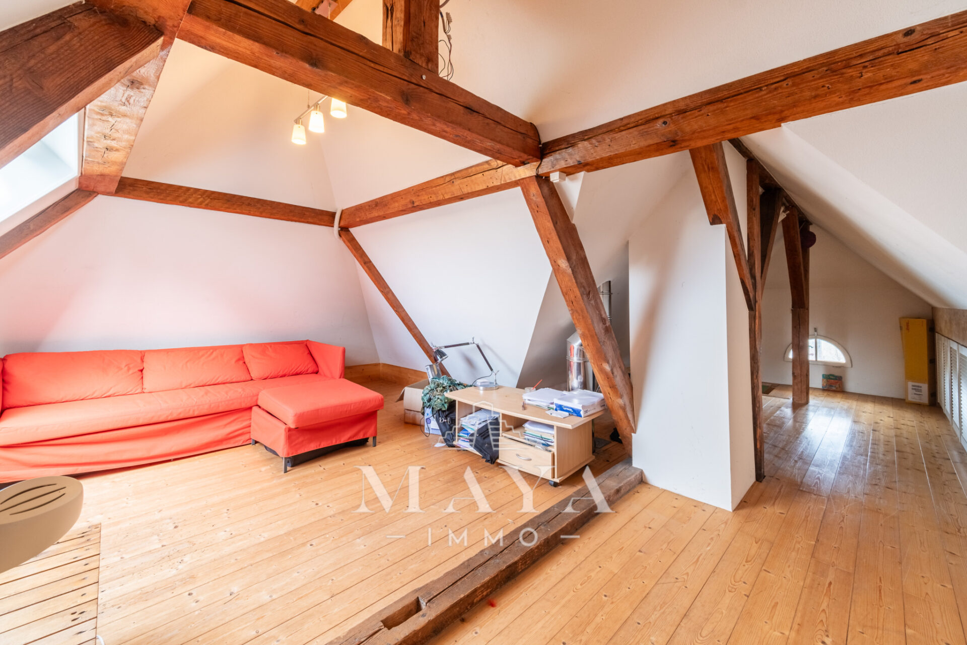 MUESPACH LE HAUT, MAISON DE CHARME AVEC LOGEMENT ANNEXE